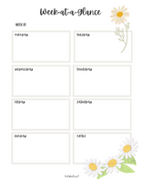 Busy Lady Productivity Planner - (80 Pages)